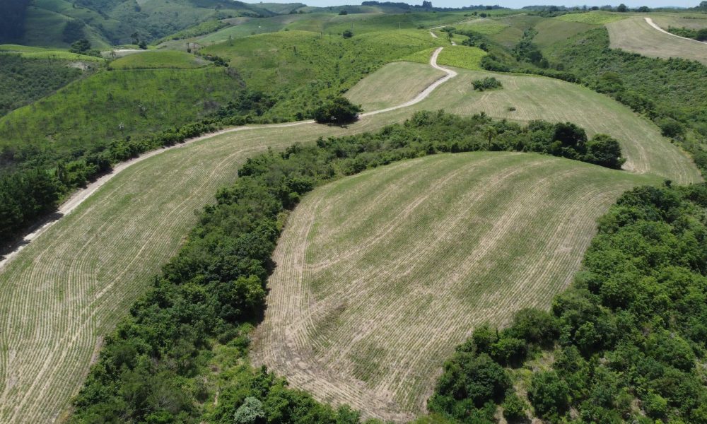 01-area-produtiva