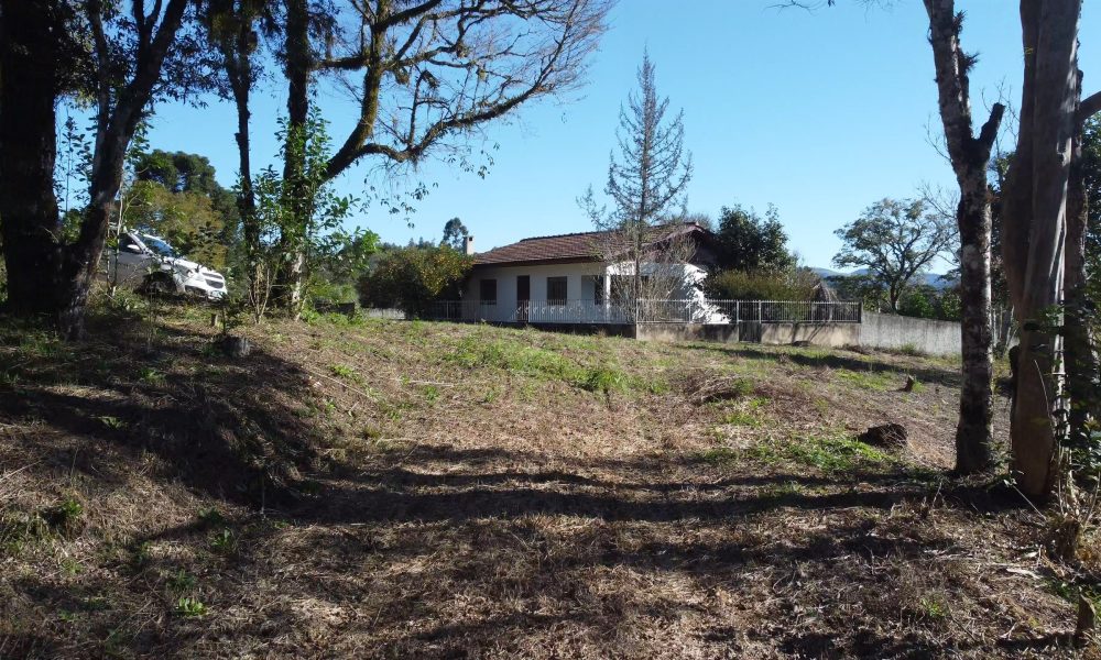 04-casa-e-bosque