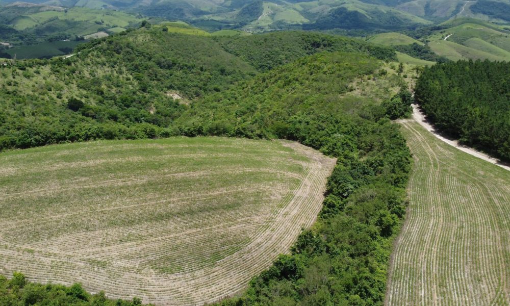 05-area-produtiva