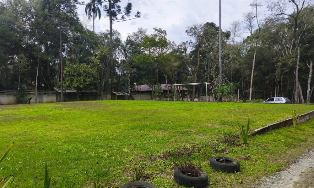 11-campo-e-area-verde
