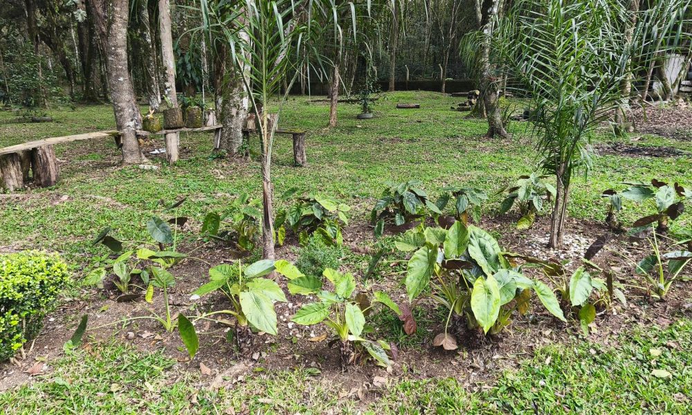 12-jardim-e-horta