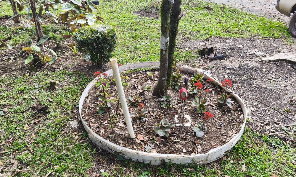 13-jardim