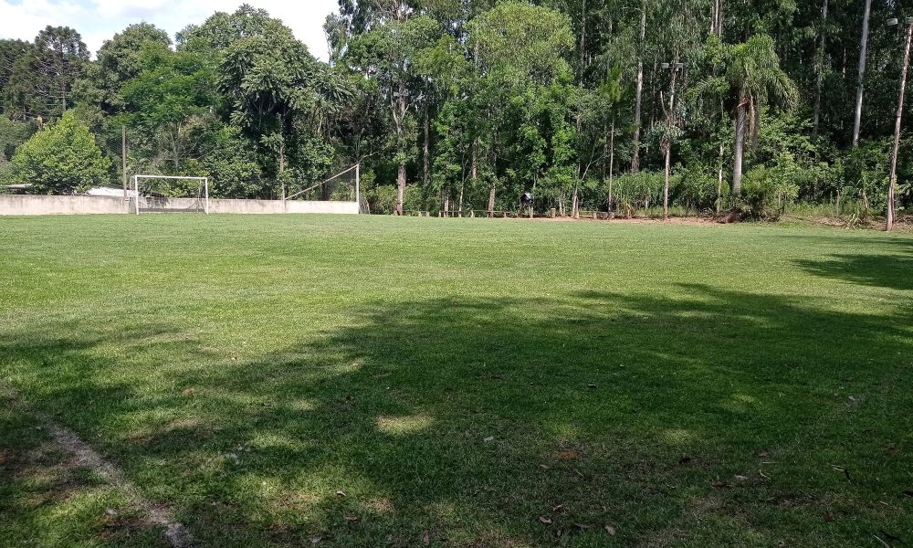 14-jardim