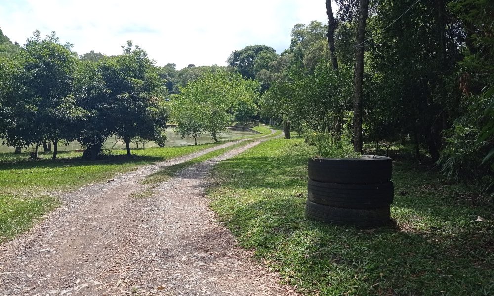 17-acesso